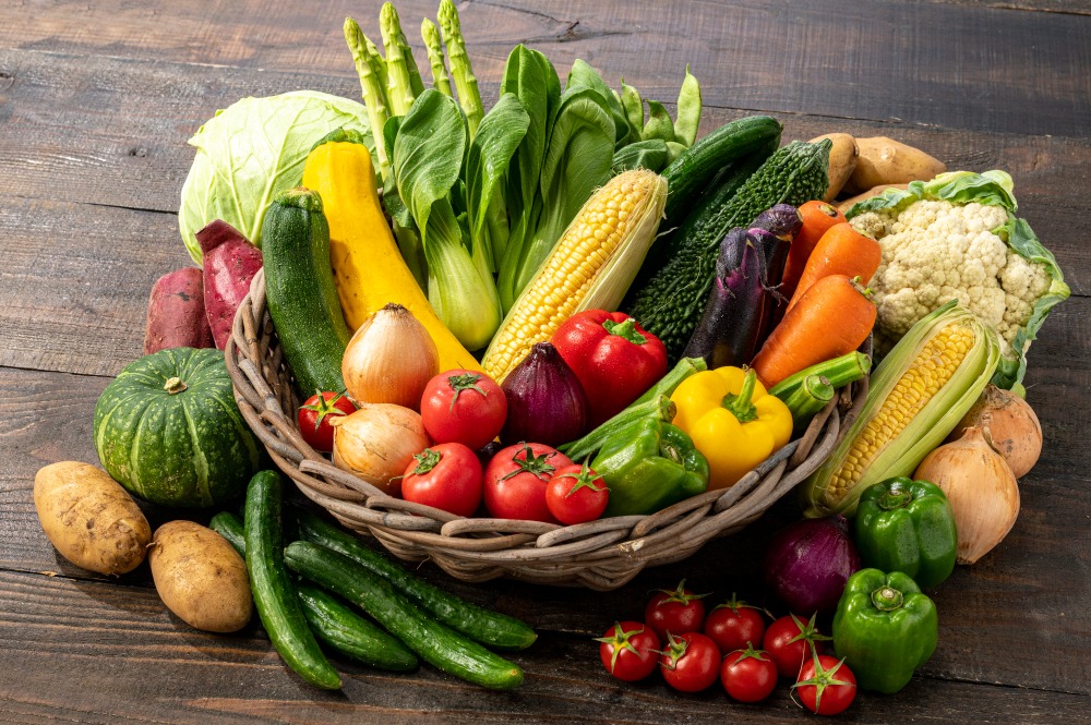 地元高知県産の食材も使用